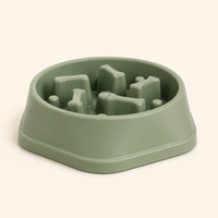 Slow Feeder Pet Bowl
