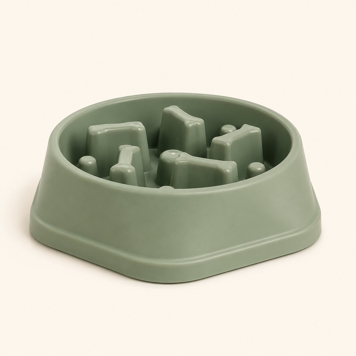 Slow Feeder Pet Bowl