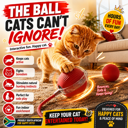 Interactive Smart Pet Ball