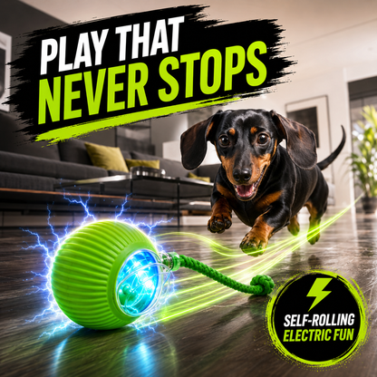 Interactive Smart Ball for Cats & Dogs