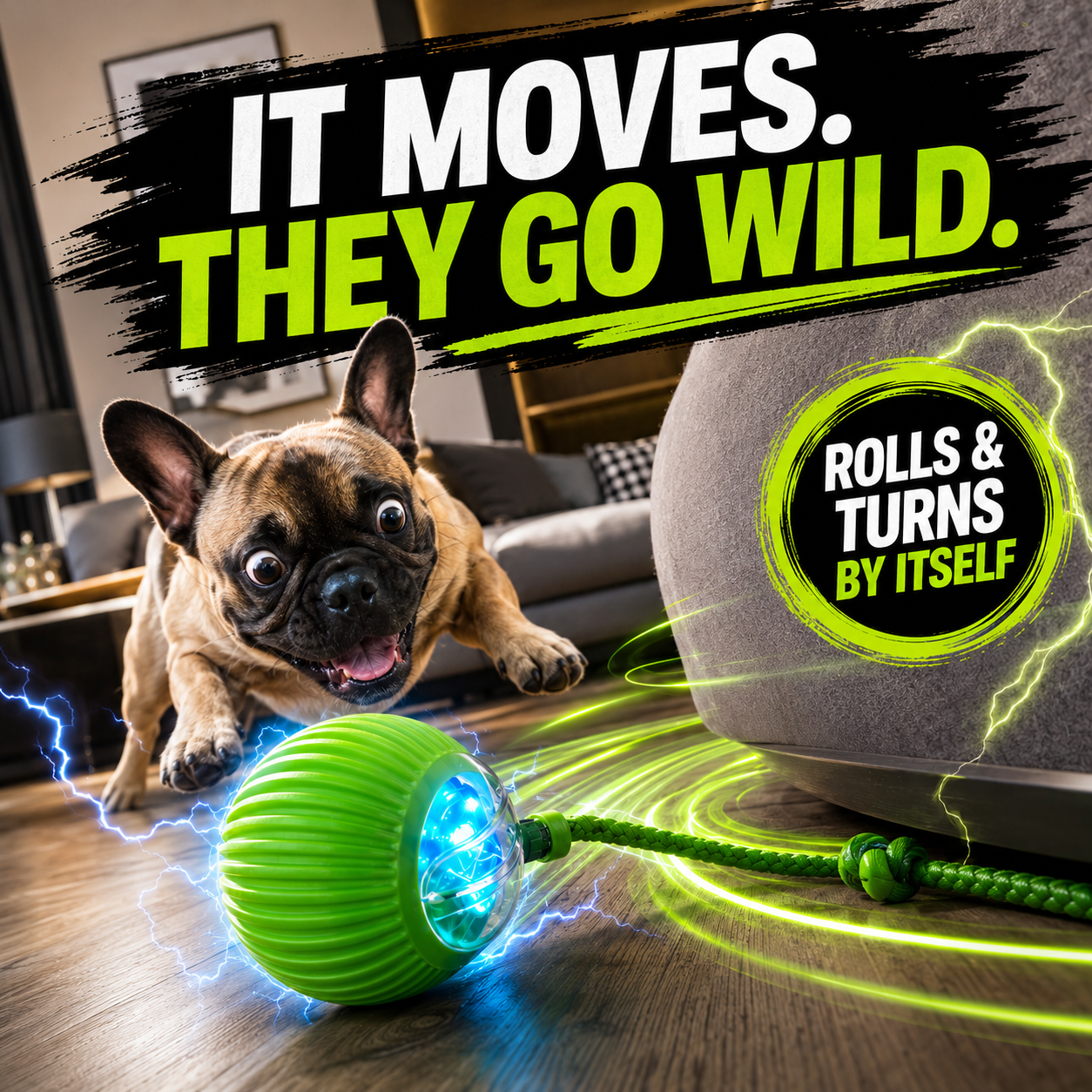 Interactive Smart Ball for Cats & Dogs