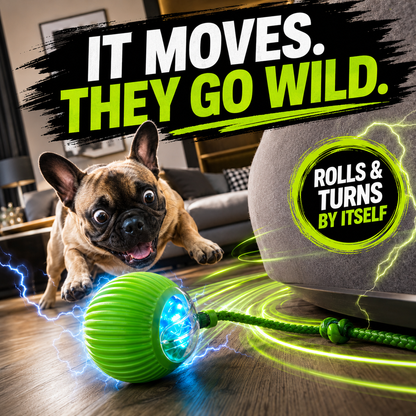 Interactive Smart Ball for Cats & Dogs