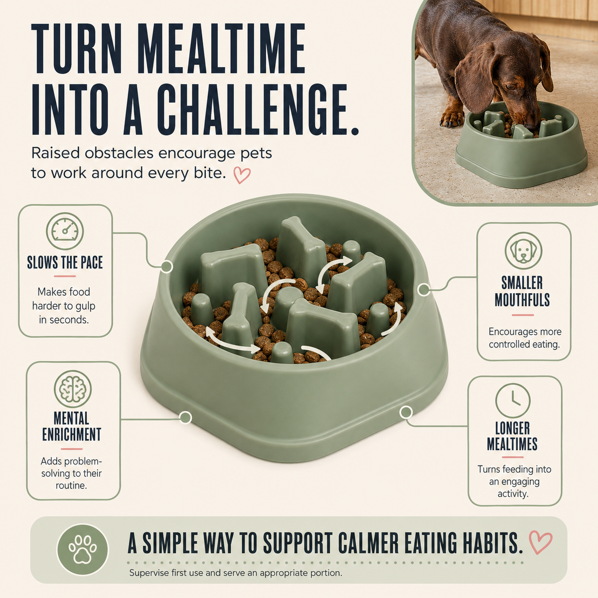 Slow Feeder Pet Bowl