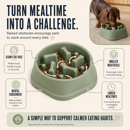 Slow Feeder Pet Bowl