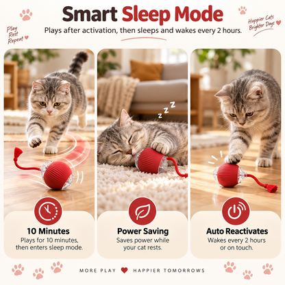 Interactive Smart Pet Ball