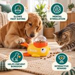 Interactive Pet Puzzle Feeder