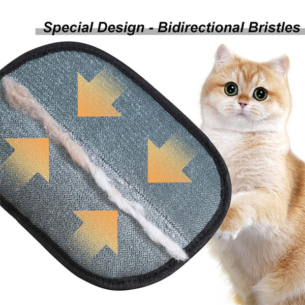 Main image for ElectroFur Glove turns everyday fur cleanup into a faster, more satisfying routine so your home looks cared for and your clothes feel ready to wear.